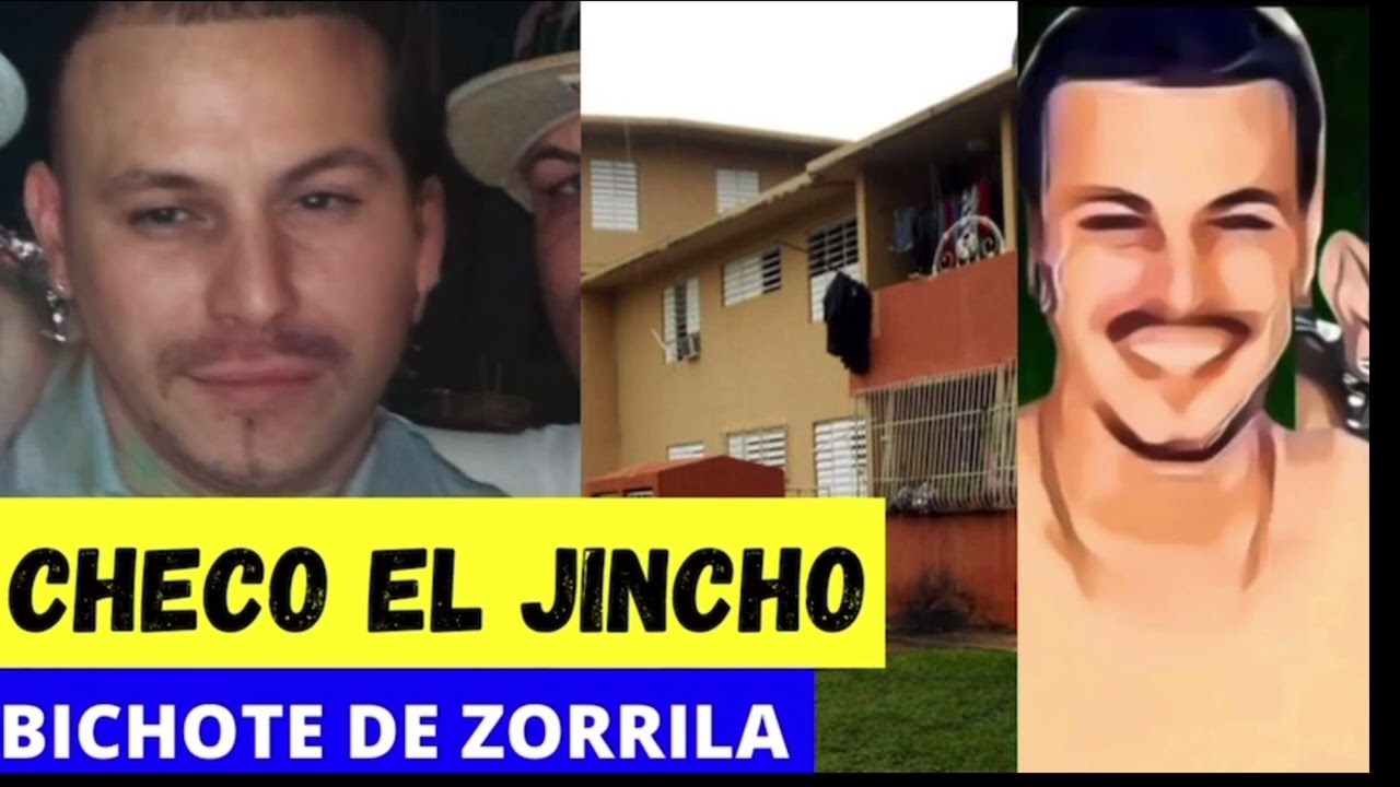 Checo el jincho bichote de residencial zorrilla 