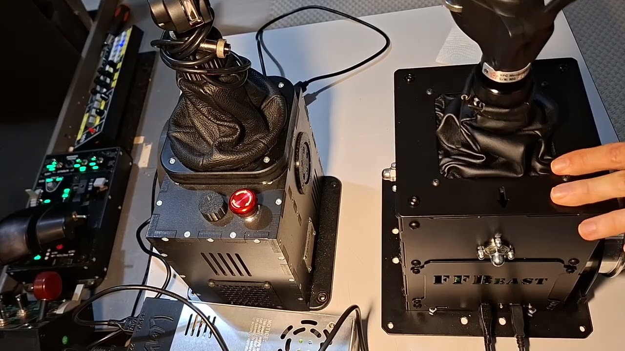 Rhino & Beast Side by Side - the Jankiest Comparison Video in YouTube History