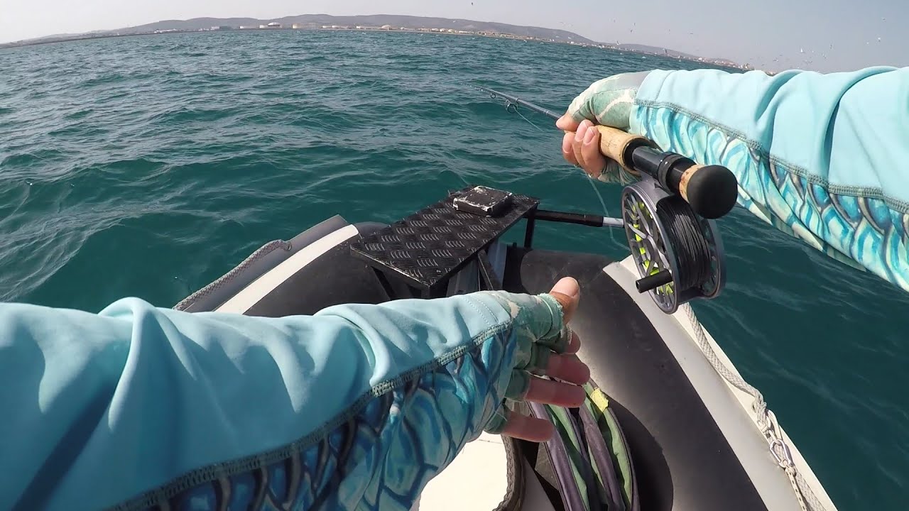 Pêche en mer multi espèces à la mouche , traversée de Sète et l'étang de Thau saltwater fly fishing