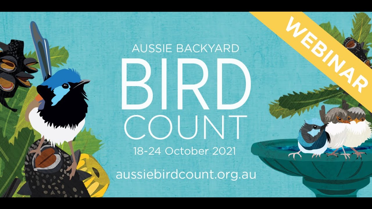Webinar: Everything Aussie Backyard Bird Count with Sean 
