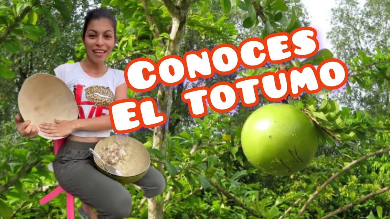 Elaborando utensilios con Totumo.