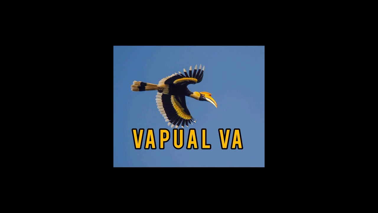 VaPual Va - Lian Official ( Phun Ram La )