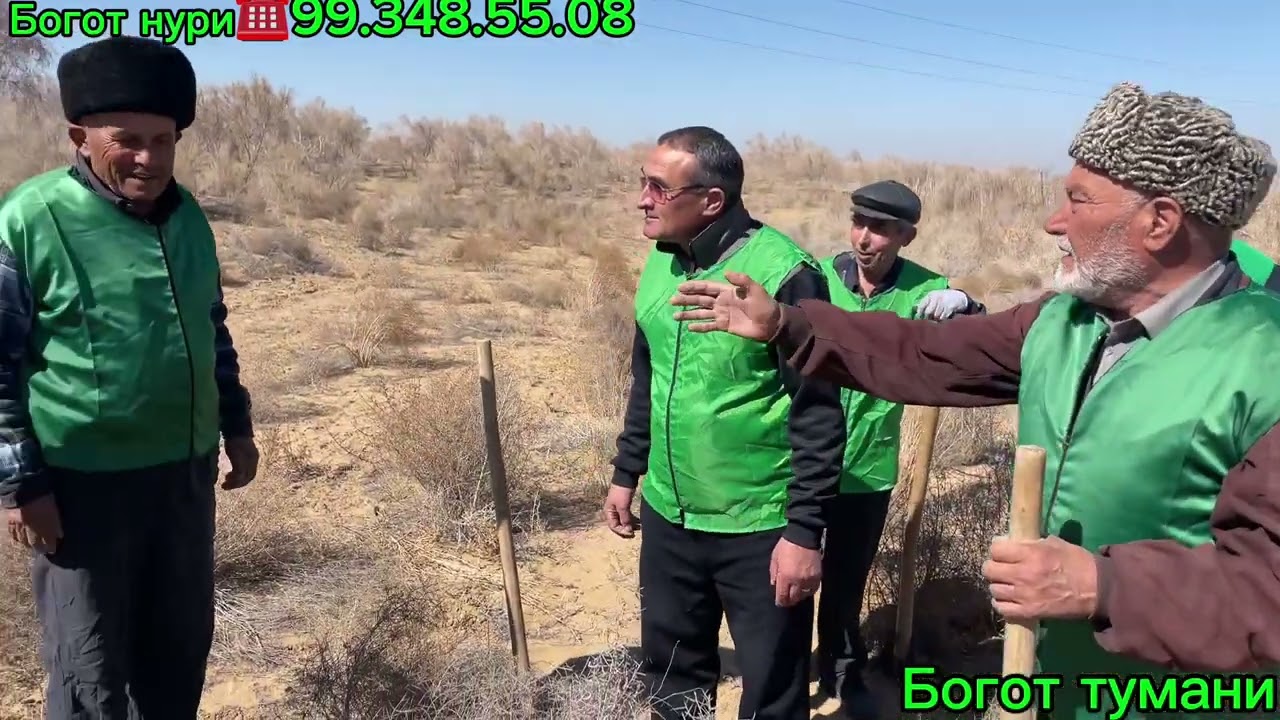 Богот Нойманда нима гаплар