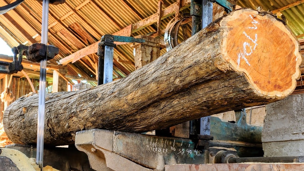 This is how we cut bent teak wood to be used as door frame material