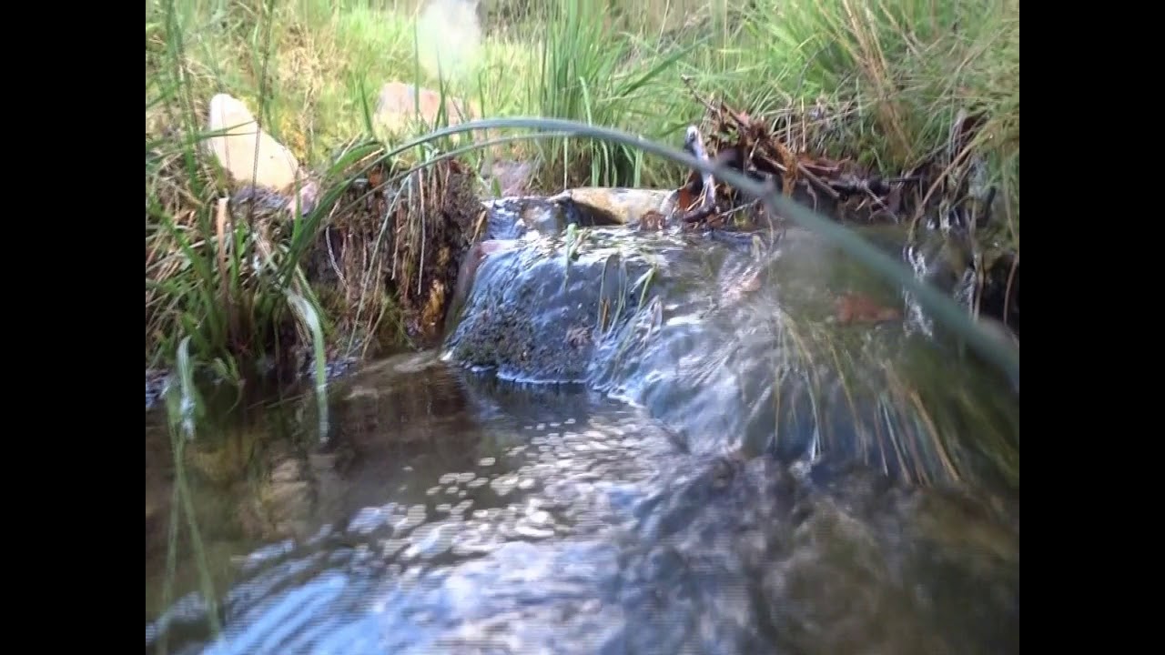 Streaming 1
