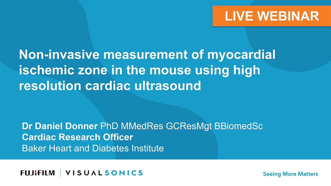 February 2020: Non-invasive measurement of myocardial ischemic zone in the mouse
