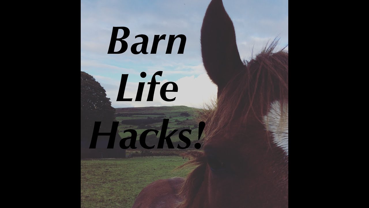 Life Hacks for the Barn!