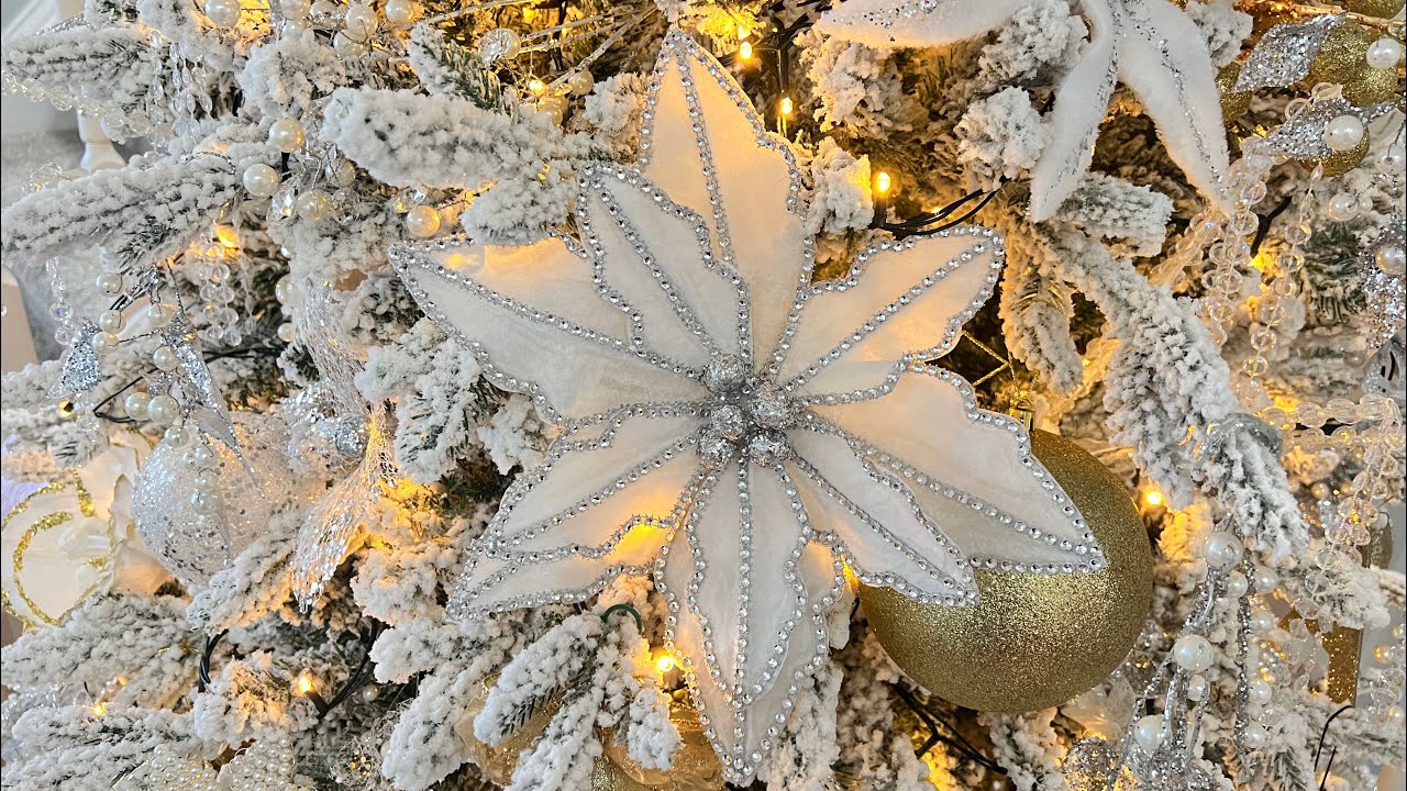 Flor Noche Buena