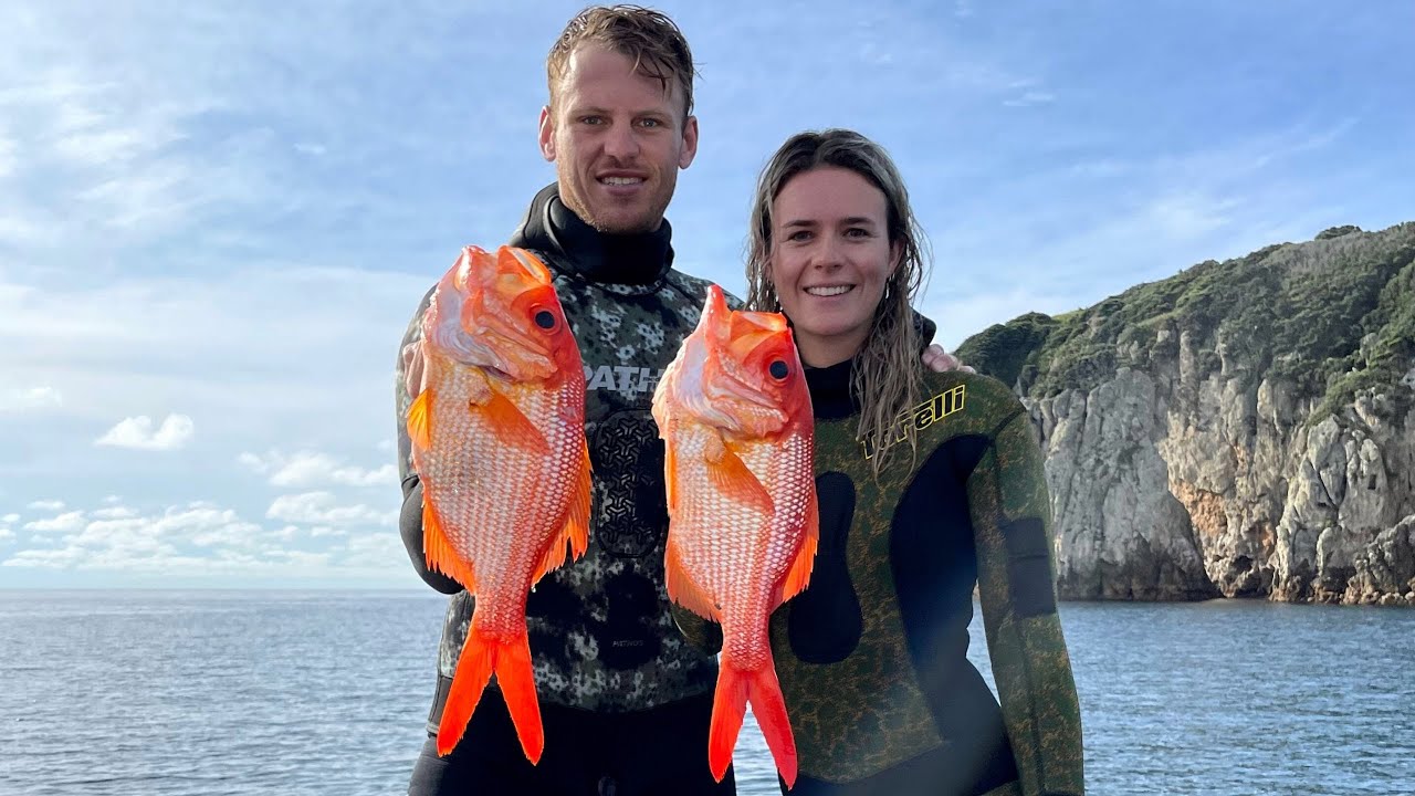 Spearfishing the RARE Golden Snapper on the MAINLAND