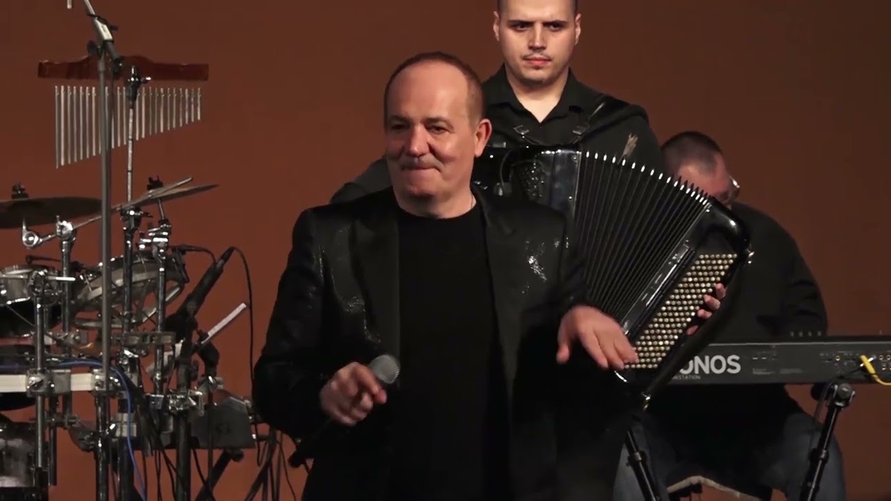 Slavisa Vujic - Crna golubice (LIVE SA KONCERTA)