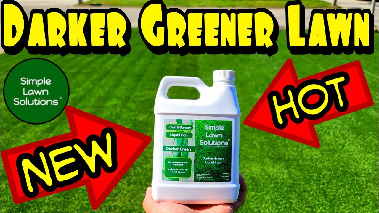 Simple Lawn Solutions: новое тёмно-зелёное железо | Лучшее жидкое железо