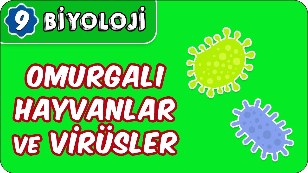 Omurgalı Hayvanlar ve Virüsler | 9.Sınıf Biyoloji