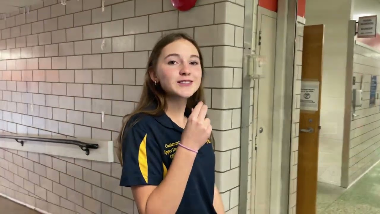 School Improvement Spotlight CC