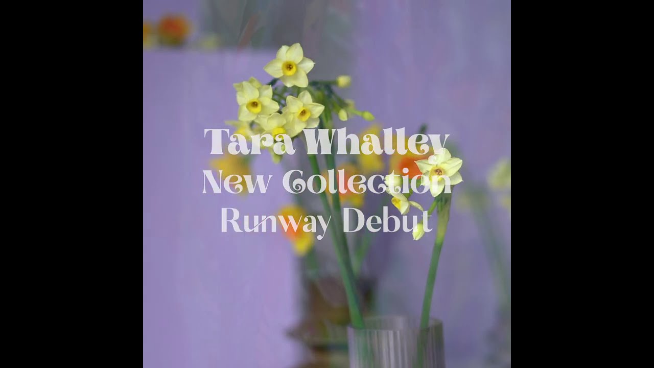 Aacute x Tara Whalley Collaboration teaser (Instagram feed)