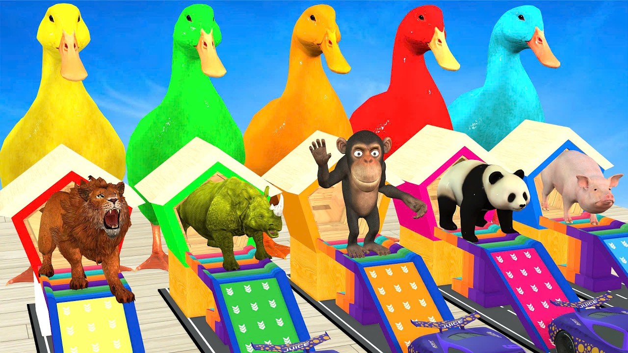 Long Slide Game With Elephant Lion Cow Zebra Bull Tiger 3D Animal Game Funny 3D Animals