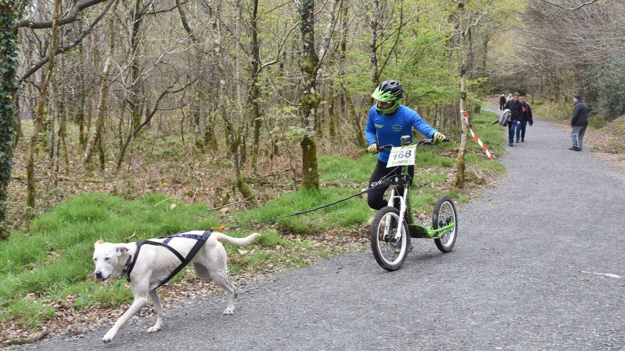 Canicross des p&acirc;querettes 6.5km