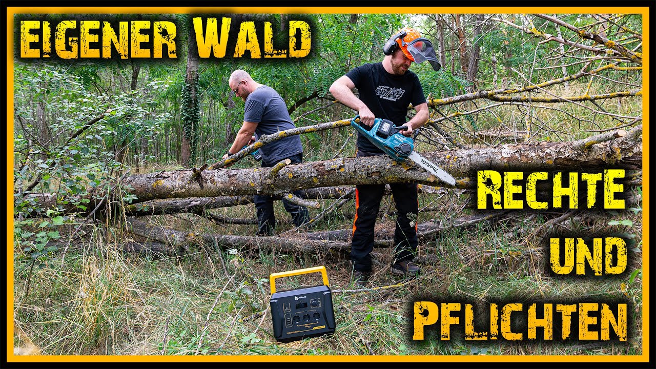 Waldpflege im eigenem Wald – Unsere Pflichten!? plus Q&A - Naturensöhne Frage Antwort