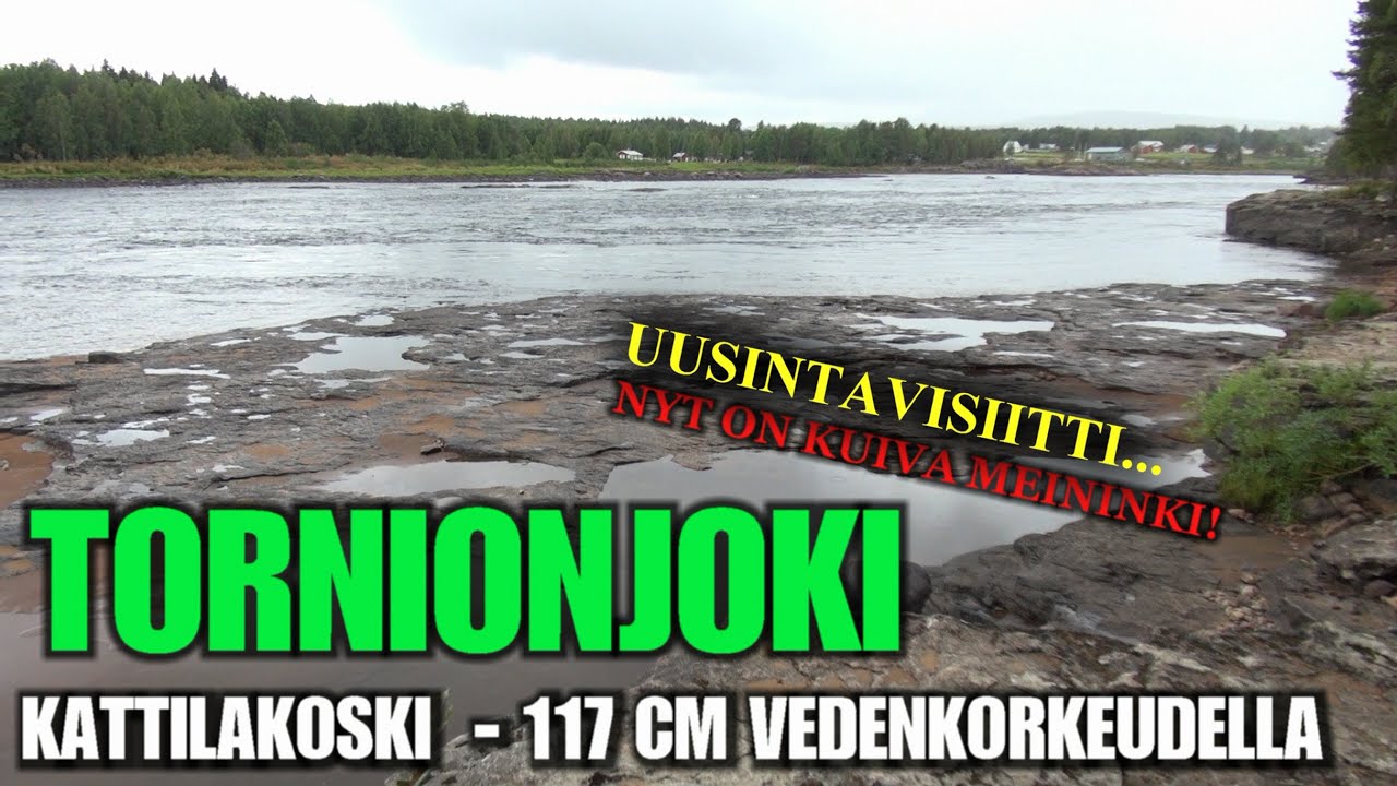 TORNIONJOKI - Kattilakoski Matalalla Vedellä (117 CM Vedenkorkeus - Rannalta Kalastavan Kalavinkit)