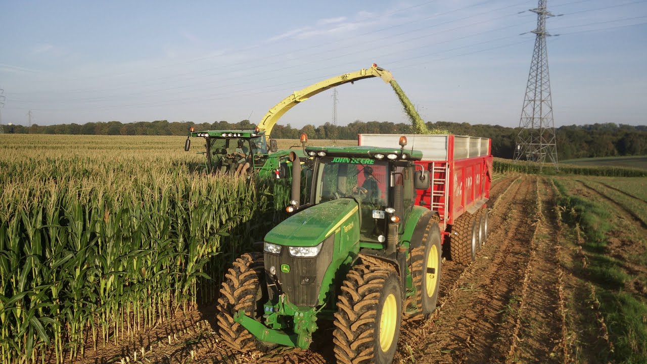 ENSILAGE DE MAÏS 2023 / ENSILEUSE 8300I 10 RANGS ! ENSILAGE 2023 EN DRONE
