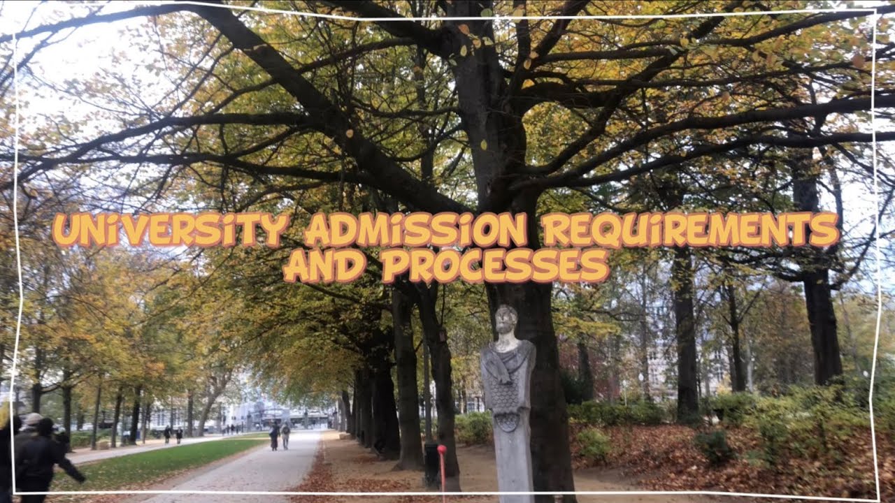 Watch this before your STUDY ABROAD ‼️Ep-1 | University Admission Requirements & Processes