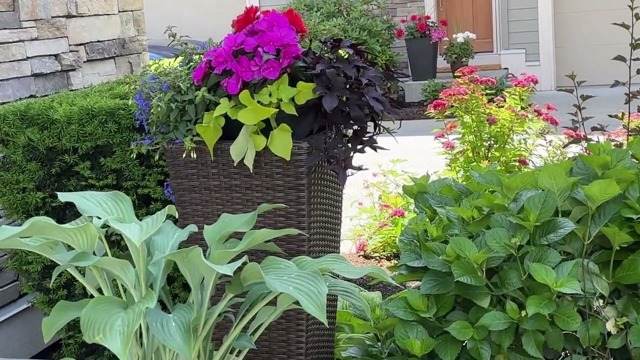 Garden Next Door   2023 Initial Look 2