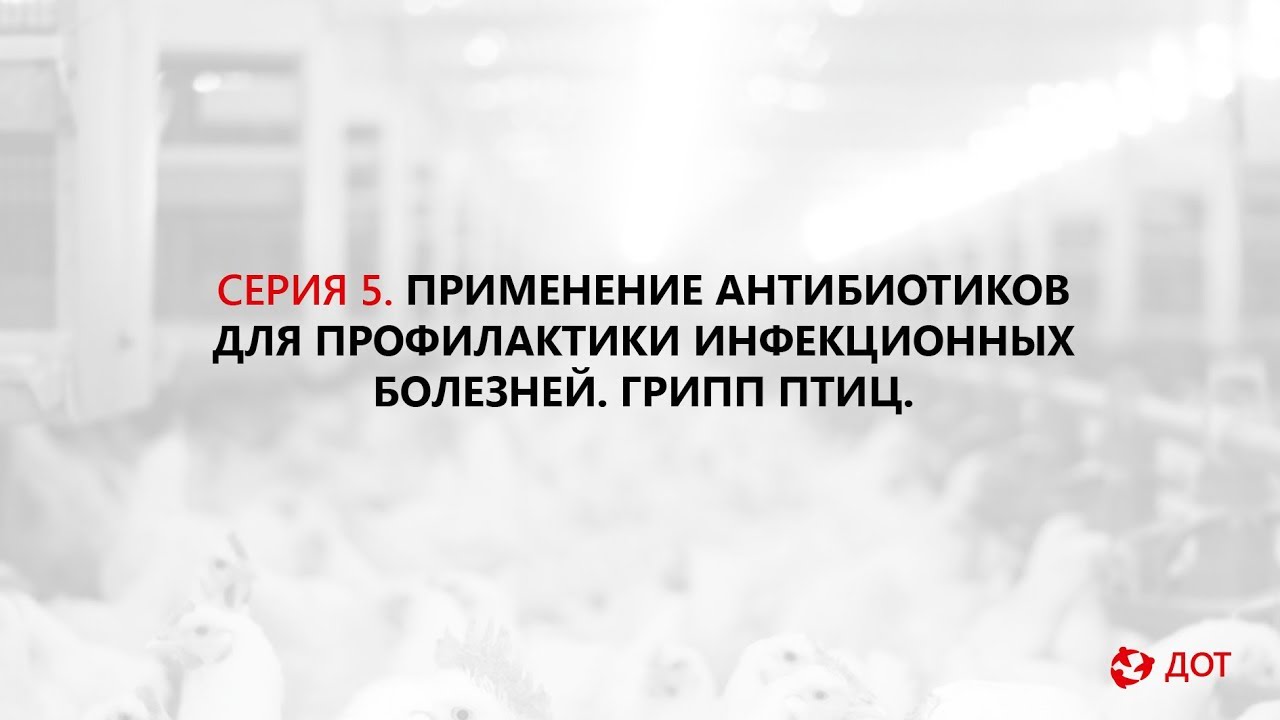 Джавадов Э.Д.: Антибиотикопрофилактика инфекционных болезней птиц. Грипп птиц.