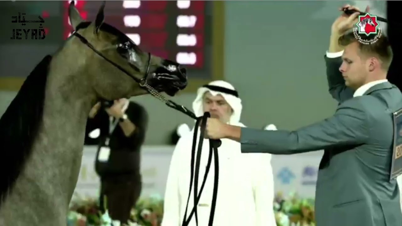 SAHM AL BAHYA