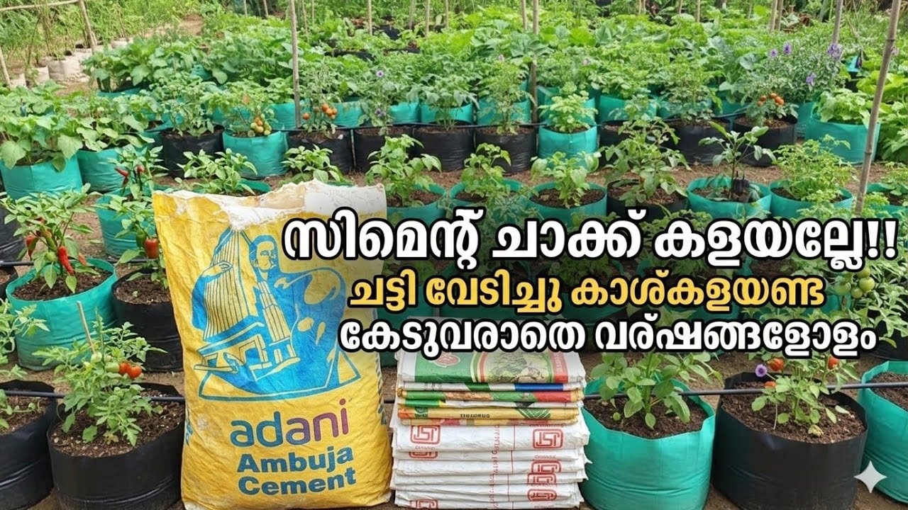 വെറുതെ കളയുന്ന ചാക്ക് കൊണ്ട് അടുക്കളത്തോട്ടം 
