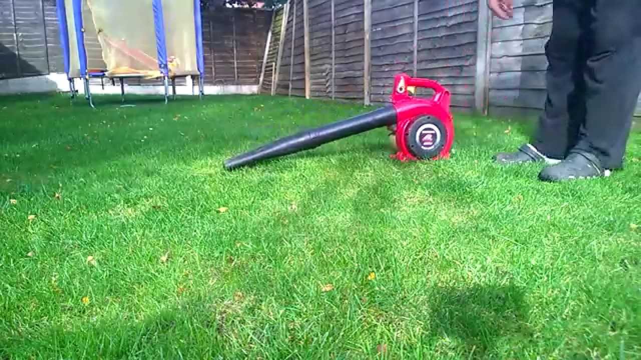 Honda HHB25 petrol leaf blower
