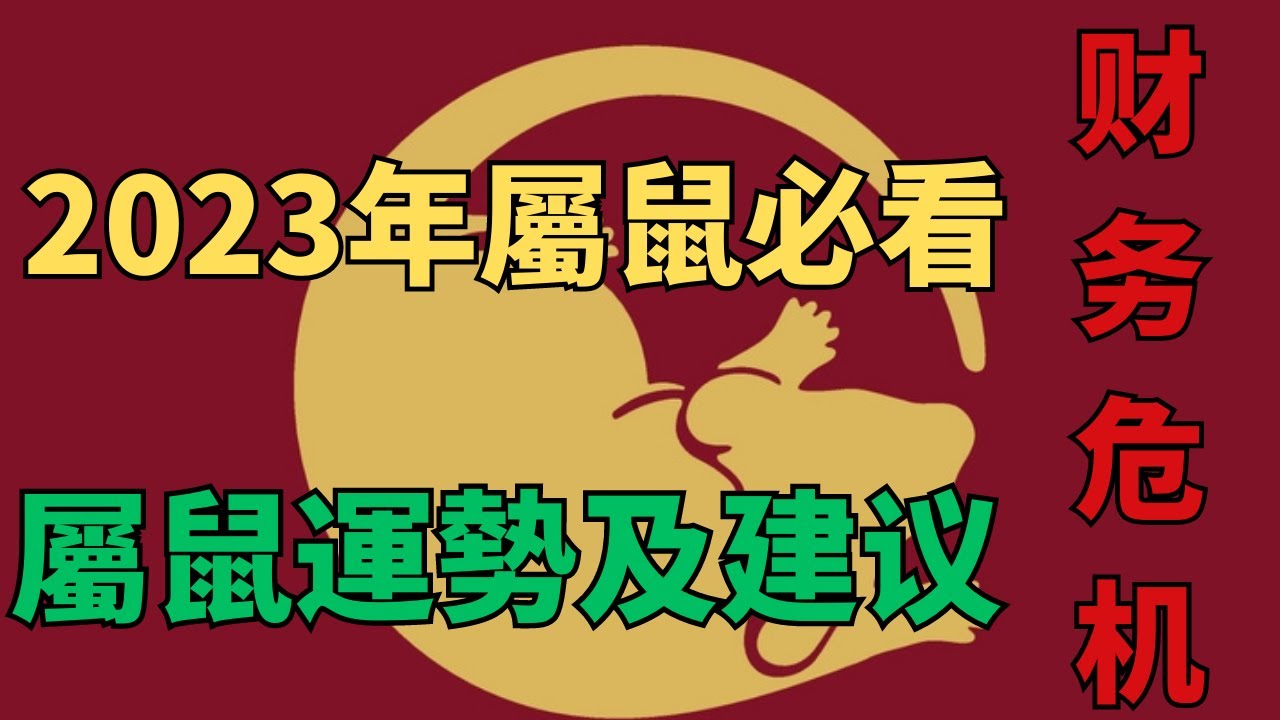 2023年屬鼠運勢分析以及建議#生肖運勢 #生肖鼠