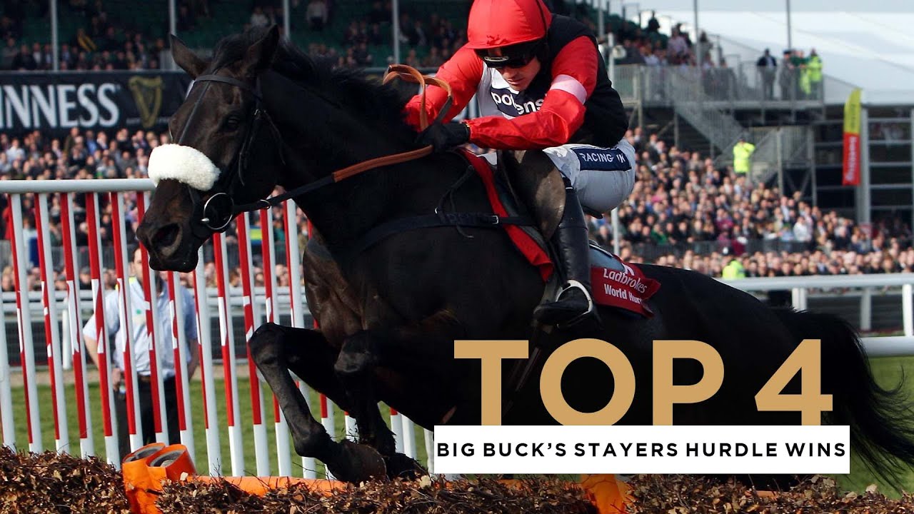 Все четыре команды Big Buck's Stayers одержали победу в беге на барьерах на фестивале в Челтнеме