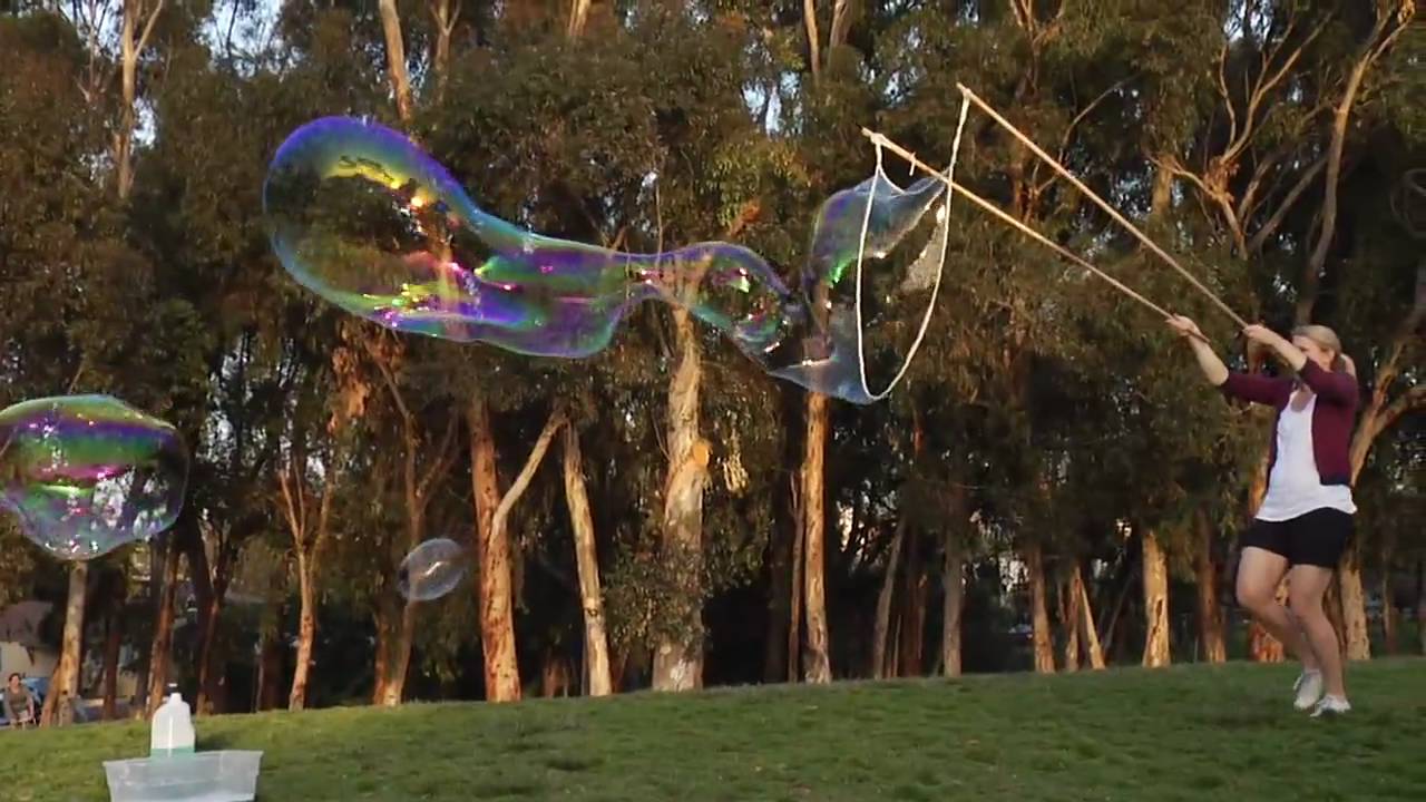 Dreams Where I Am Sleeping (The Tree Ring)