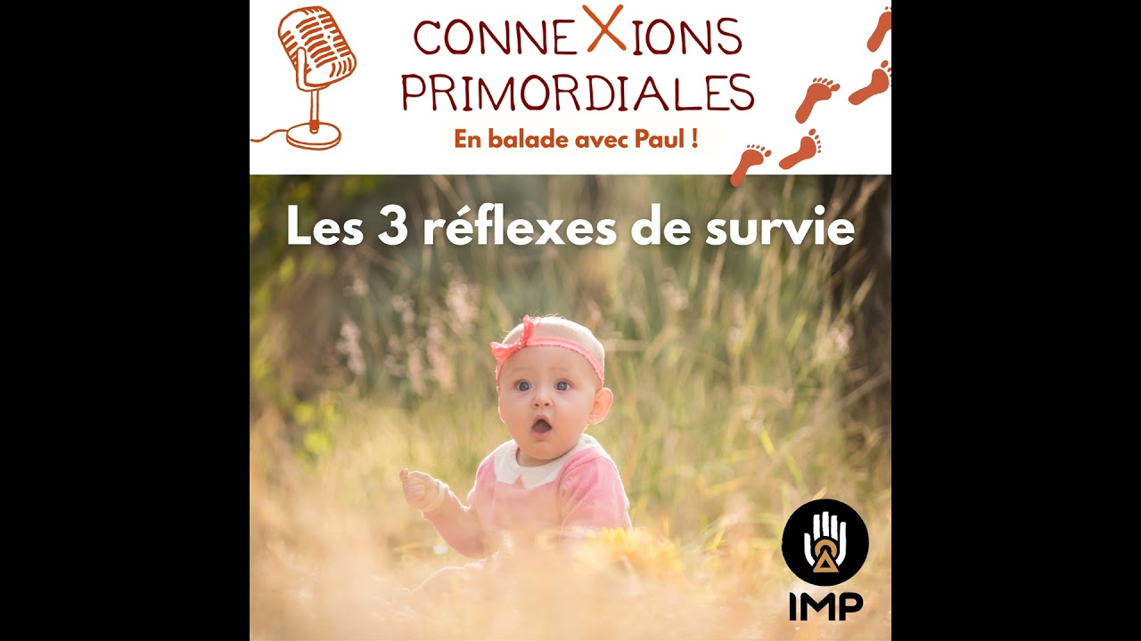 Les 3 réflexes de survie