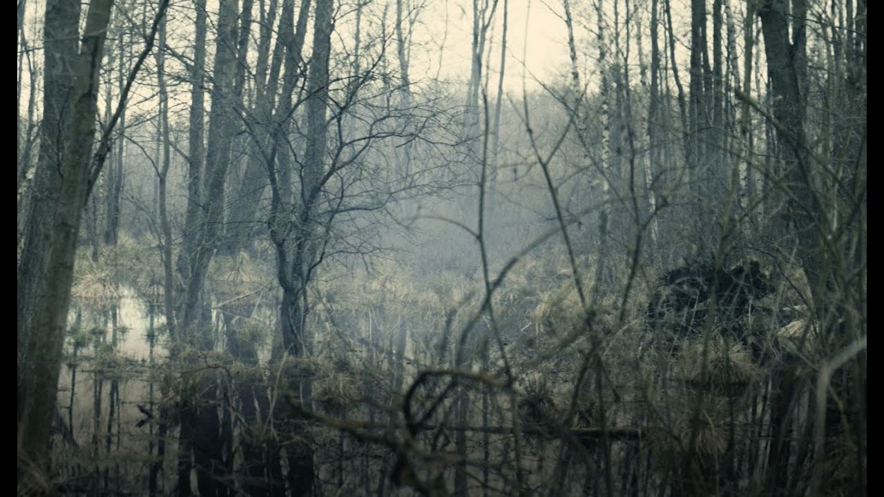 Marta Bejma - Jeziora