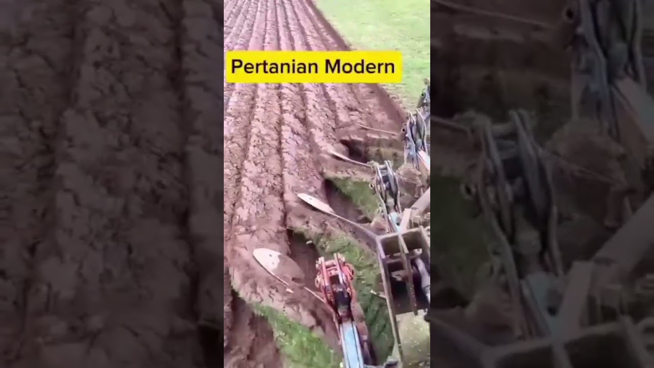 Modern🌾Pertania🚜