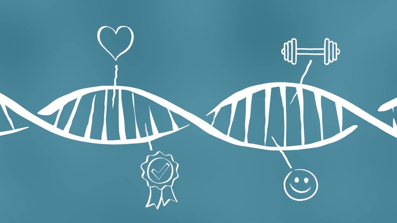 Hendrix Genetics - What is animal breeding (EN)