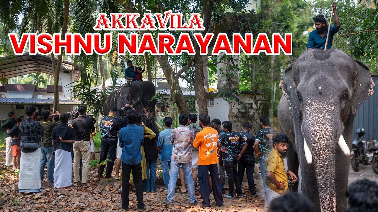 ആക്കാവിള ആനകുട്ടിയുടെ കുളി I Akkavila Vishnu Narayanan #mambi  #elephant 