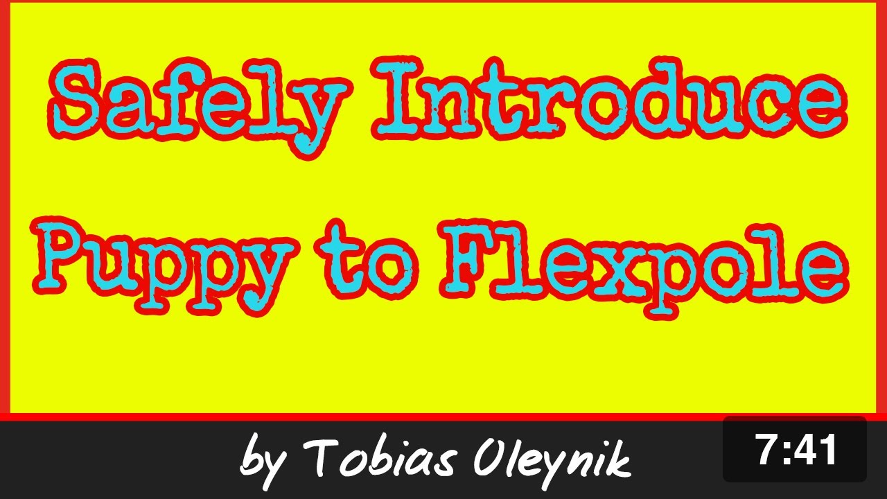 How to safely introduce puppy to flexpole | Online Dog Training by T. Oleynik