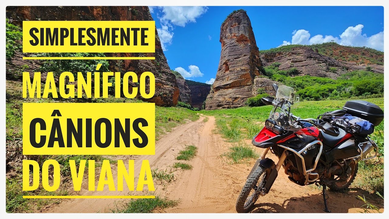 CONHECENDO OS CÂNIONS DO VIANA - MOTONEWS