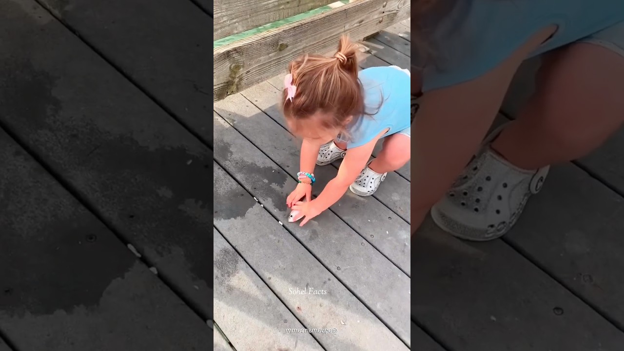 Duck Attacked Little Girl😱