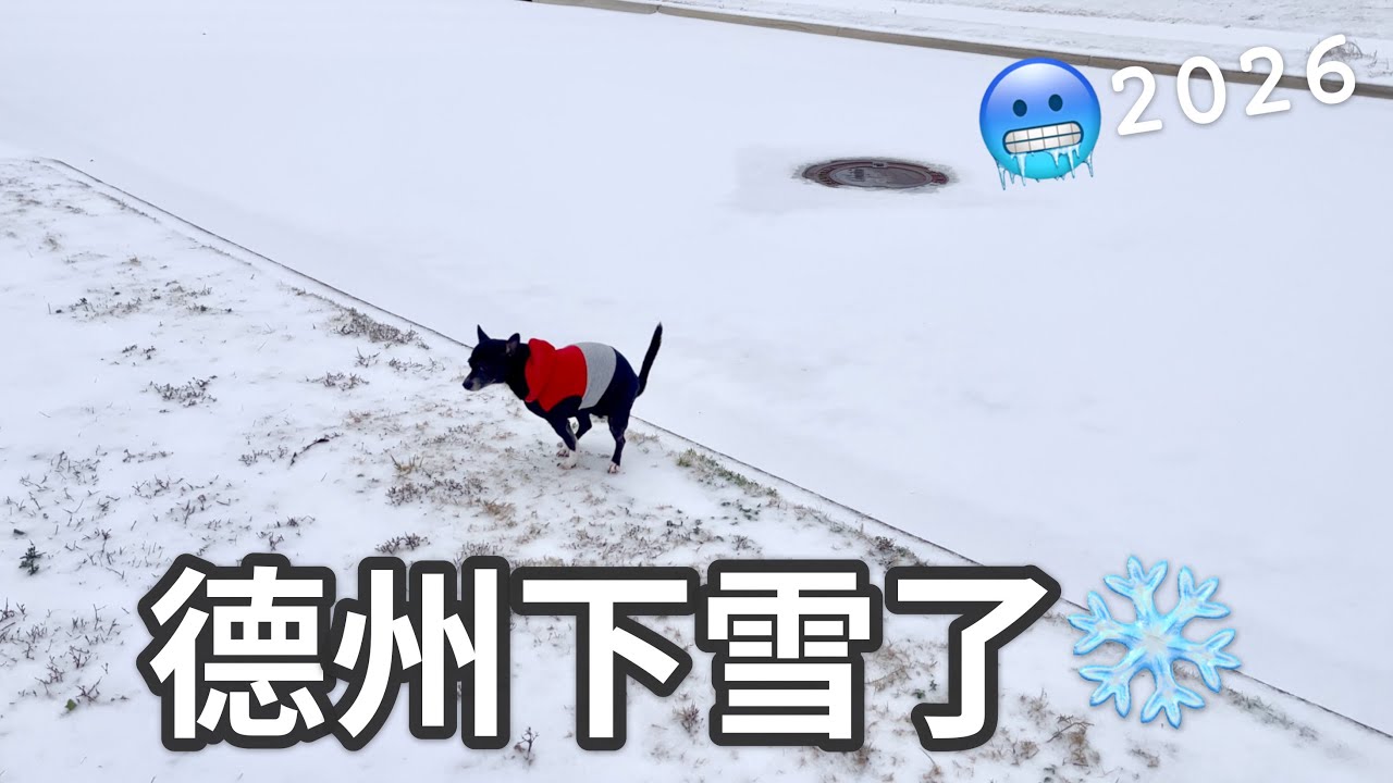 🇺🇸VLOG｜2026德州的第一場雪、懶人韓式年糕湯、狗狗來寄宿