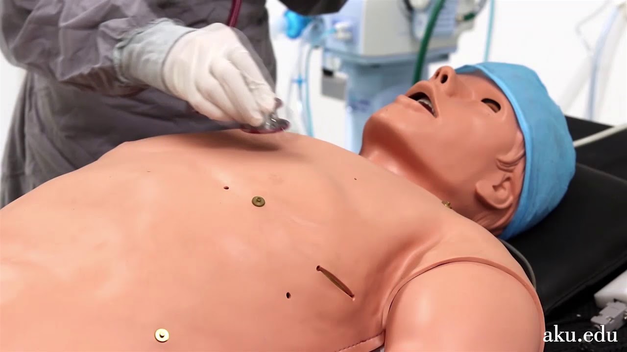 Exploring the Human Patient Simulator at CIME