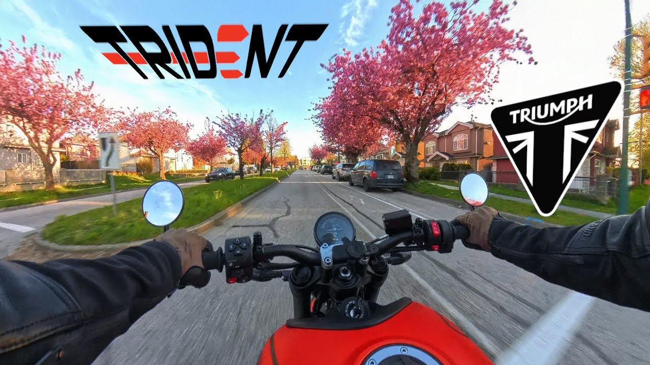 Triumph Trident 660 | Cherry Blossom | Raw Engine Sound | POV