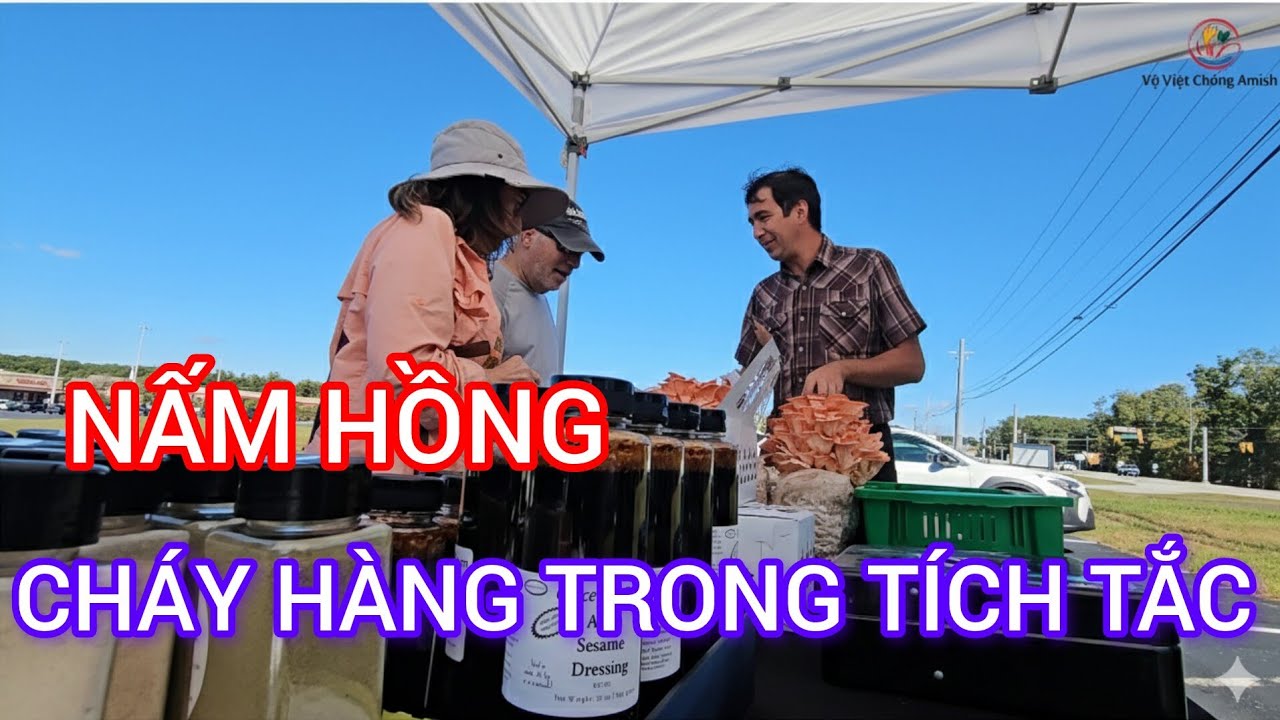 #755 Vợ Việt Chồng Amish  Bán Hết Nấm Trong Tích Tắc Tại Chợ Nông Sản Mỹ.