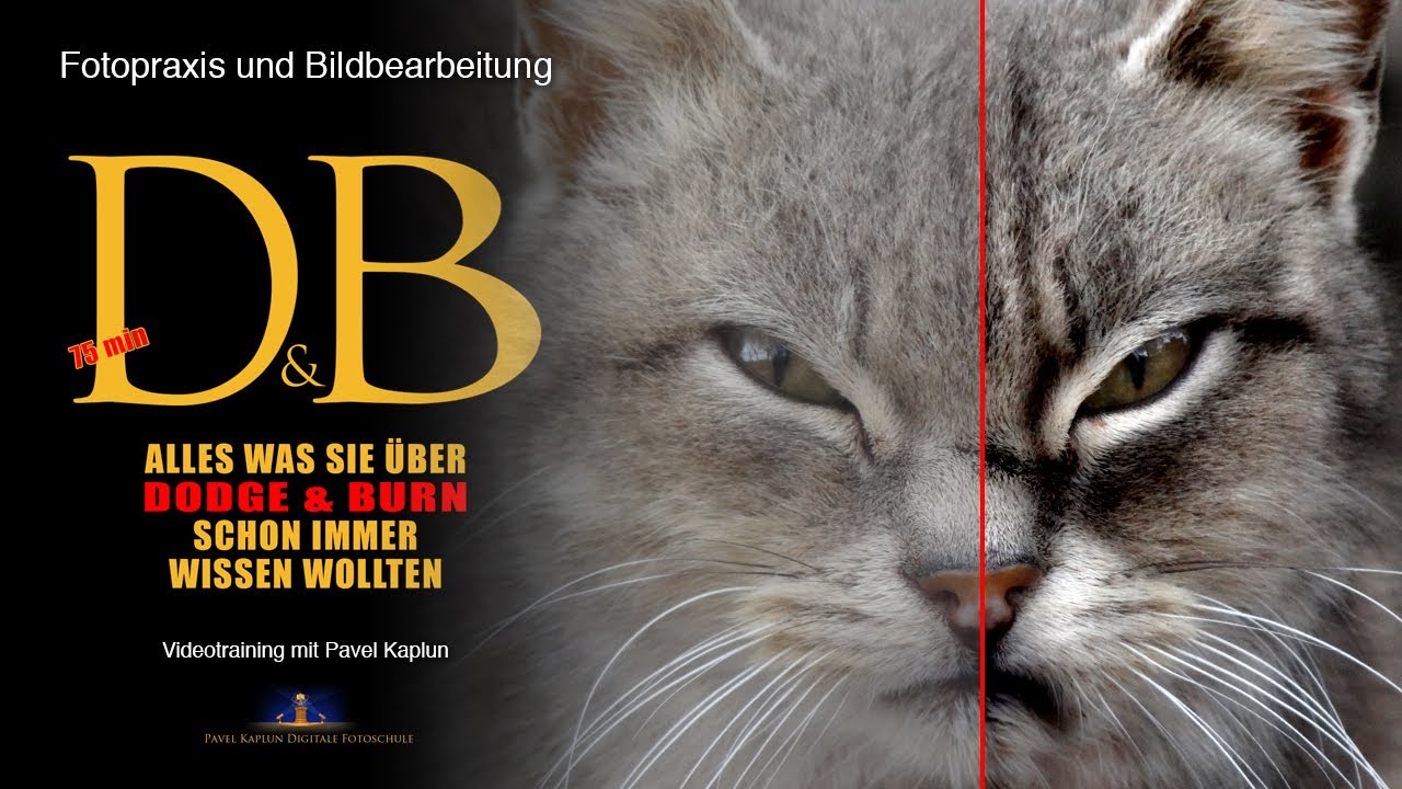 Dodge & Burn für alle!
