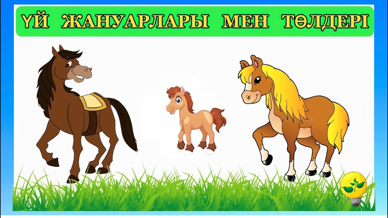 ҮЙ ЖАНУАРЛАРЫ. ҮЙ ЖАНУАРЛАРЫ МЕН ТӨЛДЕРІ. ҮЙ ЖАНУАРЛАРЫНЫҢ ДАУЫСТАРЫ. ҚАЗАҚША СӨЙЛЕУДІ ҮЙРЕНУ.