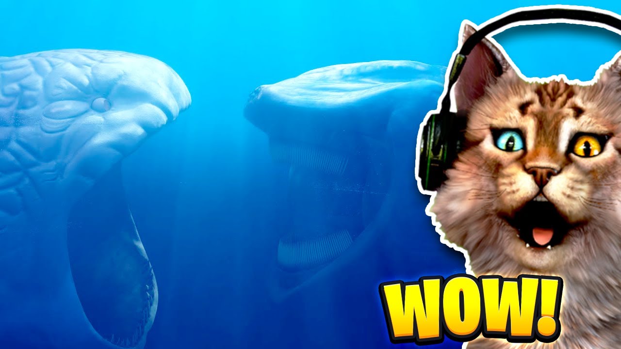 THE BLOOP VS EL GRAN MAJA !!! 🙀