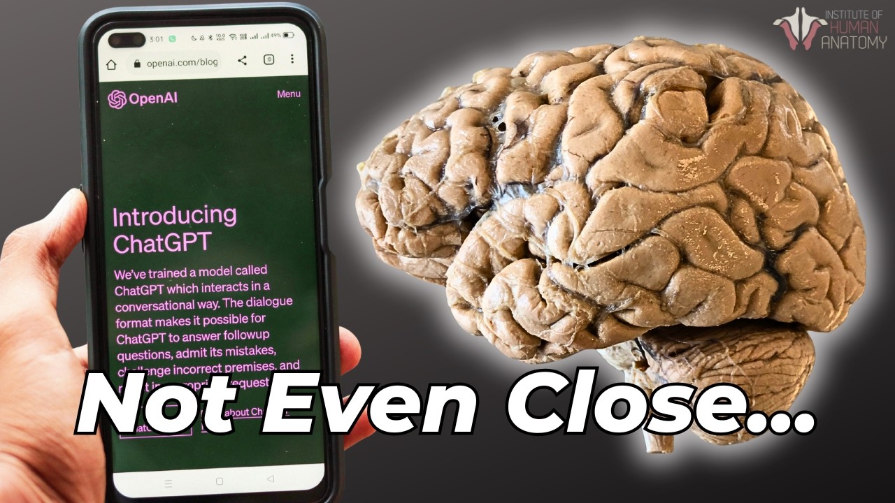 Your Brain Uses 20 Watts. AI Needs Entire Data Centers.