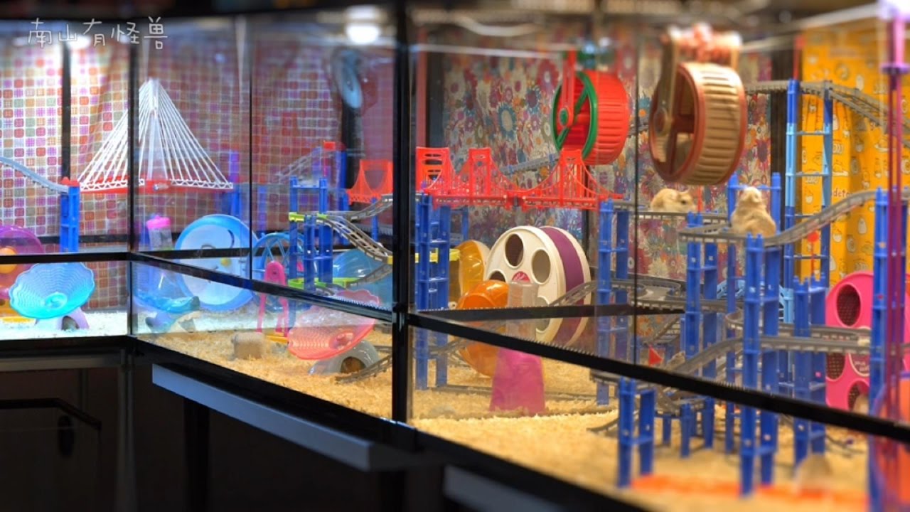 繁忙的仓鼠世界 (WORLD OF HAMSTER)