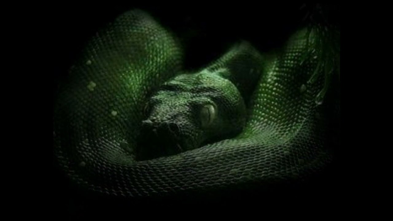 pov: you're in a toxic relationship with Tom Riddle | playlist